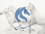 مسابقه پرش با اسب در تهران