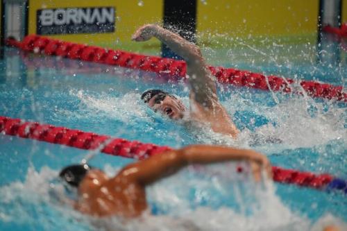 دو گزینه خارجی برای تیم ملی شنا