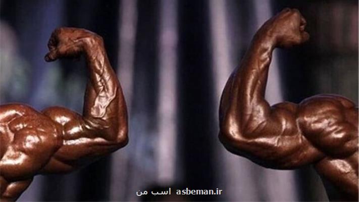 اعلام زمان ثبت نام انتخابات فدراسیون بدنسازی و پرورش اندام