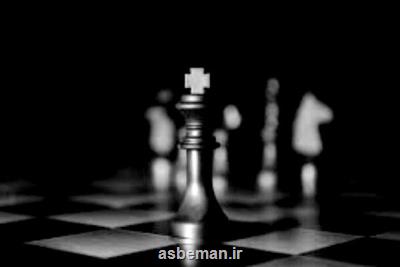سرپرست نایب رئیسی فدراسیون شطرنج انتخاب شد