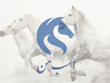 داوری در جلسات دعوتم نمی كرد